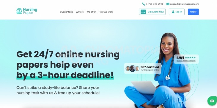 nursingpaper.com review